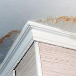 How to Handle Water Damage From Ceiling Leaks