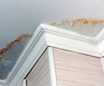 How to Handle Water Damage From Ceiling Leaks