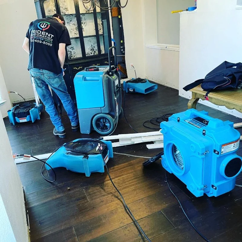 Water Damage Restoration for Restaurants: How to Protect Your Business