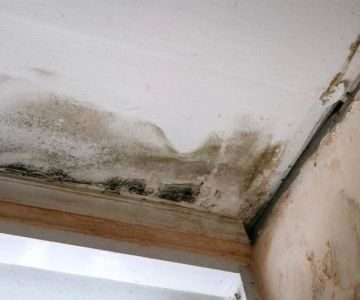 Water Damage Repair for Ceiling and Wall Mold