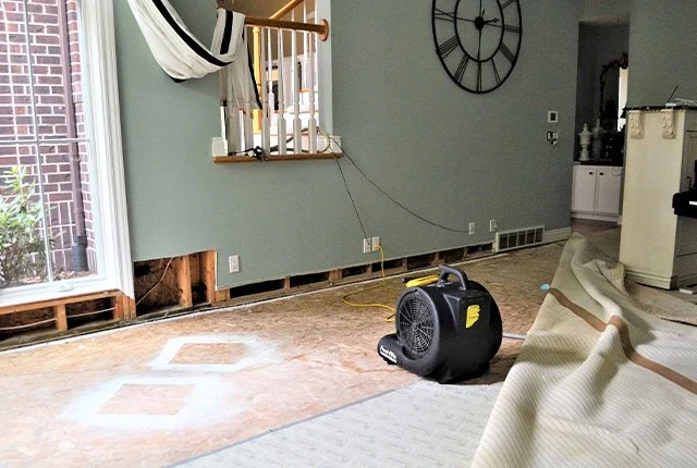 Water Damage Restoration Tips for Flood-Prone Areas