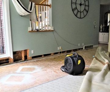 Water Damage Restoration Tips for Flood-Prone Areas