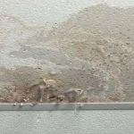 How to Repair Water-Damaged Ceilings: A Complete Guide