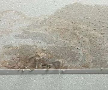 How to Repair Water-Damaged Ceilings: A Complete Guide