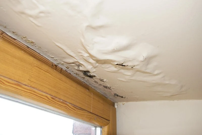 How to Identify Water Damage from Hidden Leaks in Your Roof