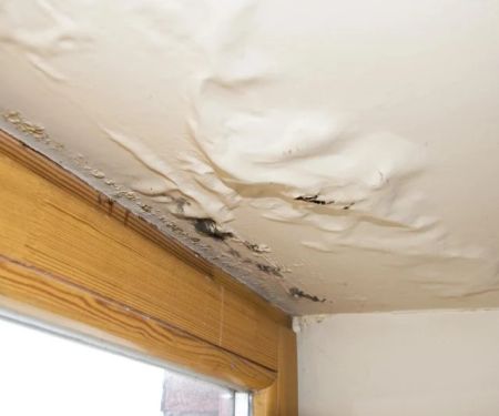 How to Identify Water Damage from Hidden Leaks in Your Roof