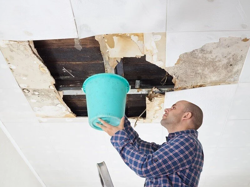 What You Need to Know About Handling Water Damage in Your Attic