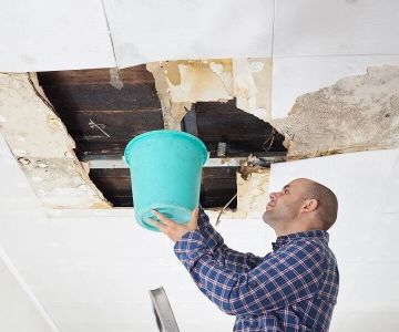 What You Need to Know About Handling Water Damage in Your Attic
