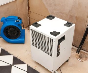 How to Dry Out Your Home After Water Damage: A Complete Guide