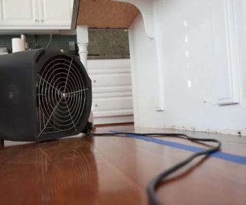 Water Damage Restoration Cost: What to Expect and How to Save Money