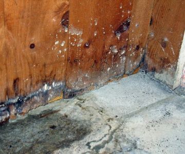 The Hidden Dangers of Water Damage: What You Can't See Could Be Worse