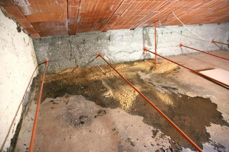 How to Identify and Fix Water Damage in Your Crawl Space