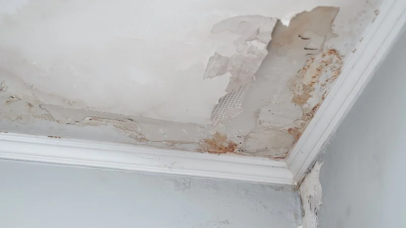 How to Deal with Water Damage in Your Walls and Ceiling