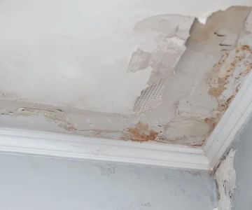 How to Deal with Water Damage in Your Walls and Ceiling