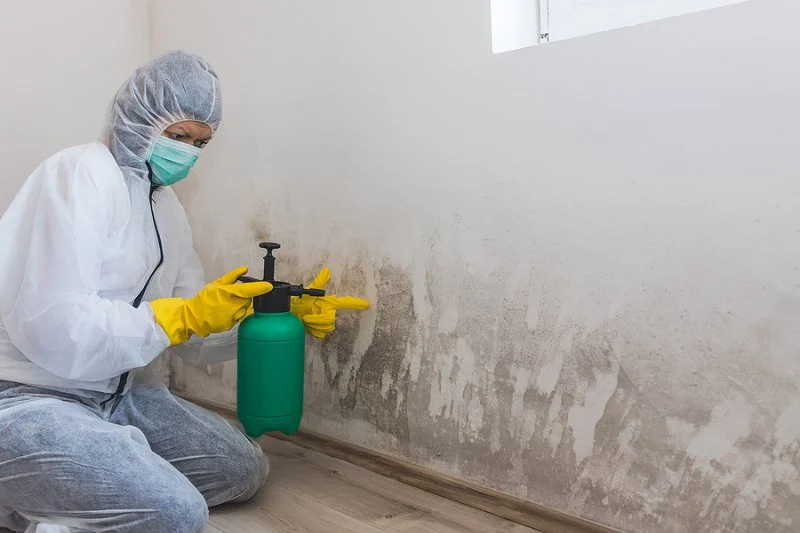What Happens During Water Damage Restoration: A Detailed Overview