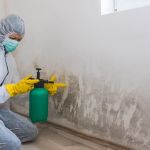 What Happens During Water Damage Restoration: A Detailed Overview