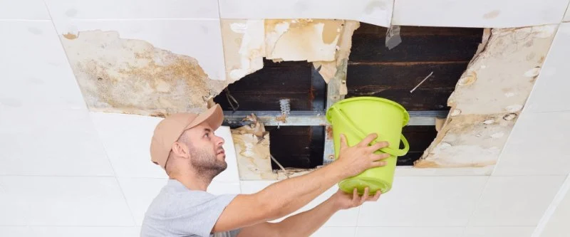 How to Restore Your Home After Water Damage from Heavy Rain
