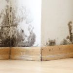 How to Spot Water Damage Early: Key Signs to Look for Before It's Too Late