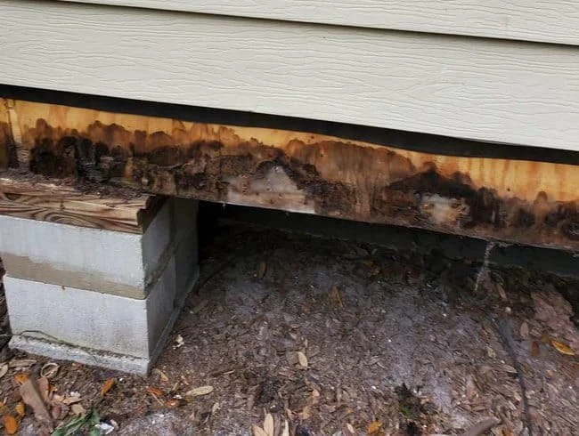 How to Deal with Water Damage in a Mobile Home