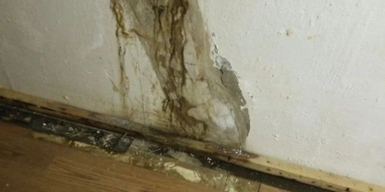 What to Do When Water Damage Affects Your Home’s Foundation