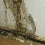 What to Do When Water Damage Affects Your Home’s Foundation