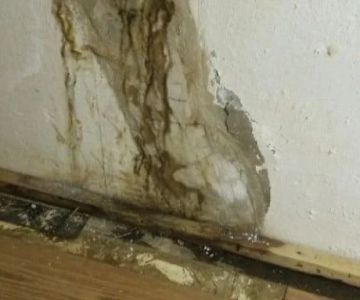 What to Do When Water Damage Affects Your Home’s Foundation