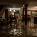 How to Handle Water Damage in Your Basement: Step-by-Step Guide