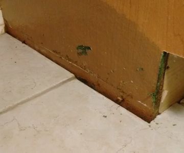How to Restore Water-Damaged Kitchen Cabinets