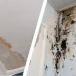 Water Damage Restoration and Mold: How to Prevent Both