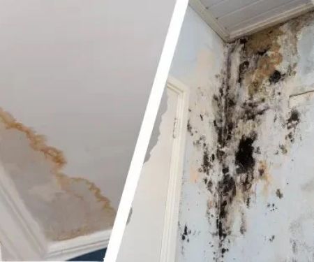 Water Damage Restoration and Mold: How to Prevent Both