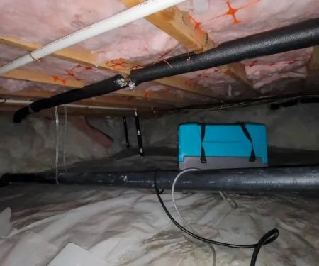 How to Handle Water Damage in Your Home’s Crawl Space | Reliable Damage Hub