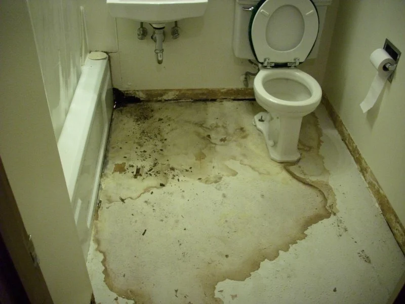 Water Damage in Your Bathroom: How to Restore and Prevent It