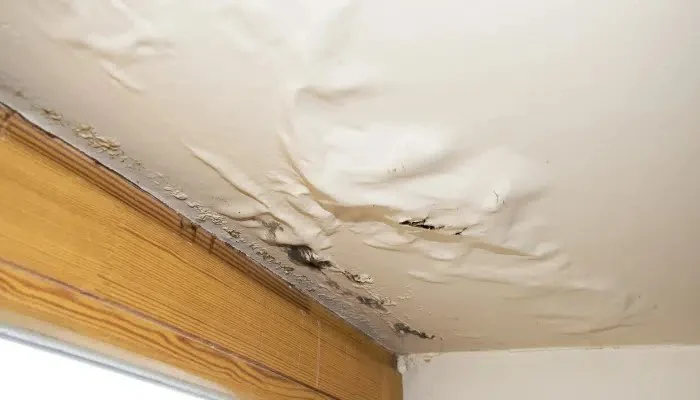 How to Spot Water Damage in Your Home’s Plumbing System