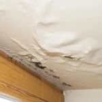 How to Spot Water Damage in Your Home’s Plumbing System