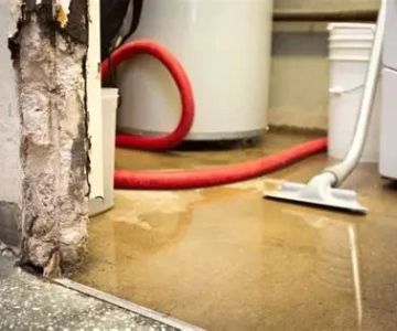 What to Expect When You Hire a Water Damage Restoration Company