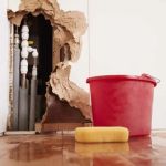 How to Tell if Your Home Has Water Damage Before It Gets Worse