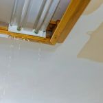 How to Prevent Water Damage from Excessive Humidity in Your Home | Reliable Damage Hub