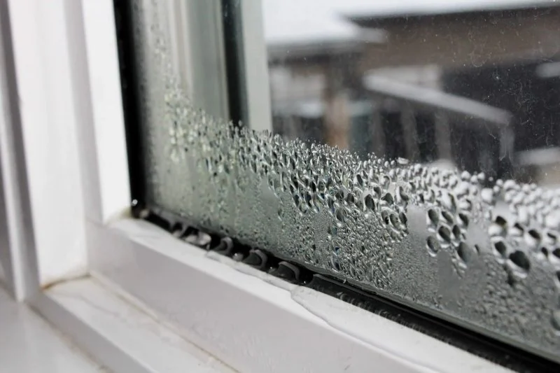 How to Identify and Handle Water Damage in Your Property’s Windows