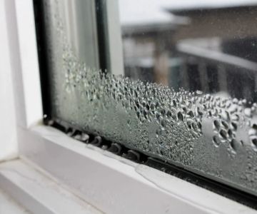 How to Identify and Handle Water Damage in Your Property’s Windows