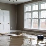 What to Do Immediately After Water Damage: A Step-by-Step Guide for Homeowners
