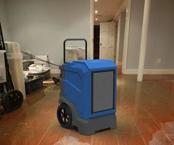The Role of Dehumidifiers in Water Damage Restoration