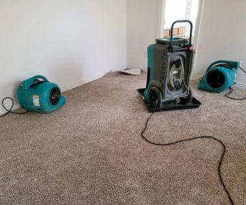 The Best Way to Dry Out Your Home After Water Damage