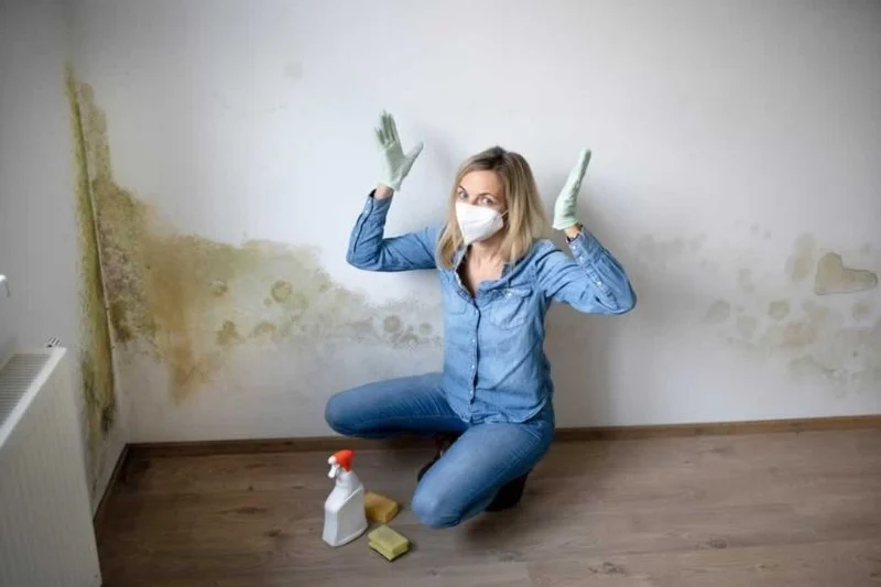 How to Manage Water Damage from Mold Growth