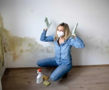 How to Manage Water Damage from Mold Growth