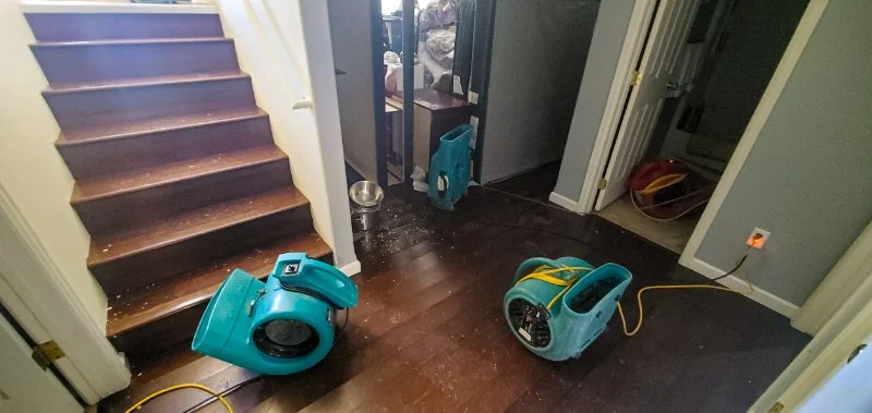 The Best Tools and Products for Water Damage Cleanup and Restoration