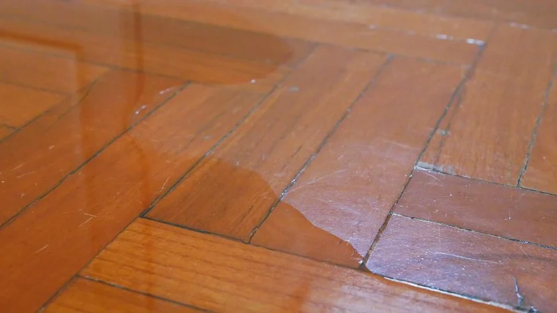 How to Handle Water Damage in Your Home’s Wood Floors and Furniture