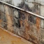 How to Identify and Deal with Water Damage in Your Foundation Walls