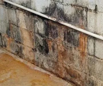How to Identify and Deal with Water Damage in Your Foundation Walls