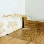 The Risks of Water Damage in Your Home’s Insulation and How to Handle It