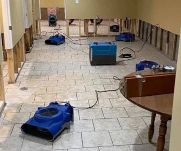 The Top Water Damage Prevention Tips for Homes in Coastal Areas